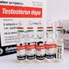 Buy Testosteron Depo (Galenika) Test Enanthate